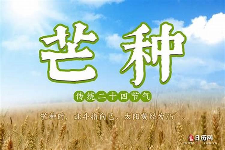 芒种是几月几号夏至几月几号？