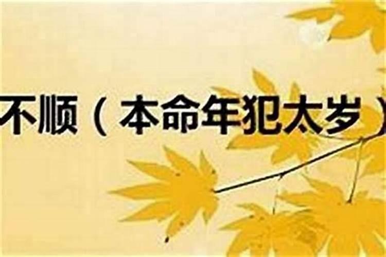 本命年前一年感觉不顺