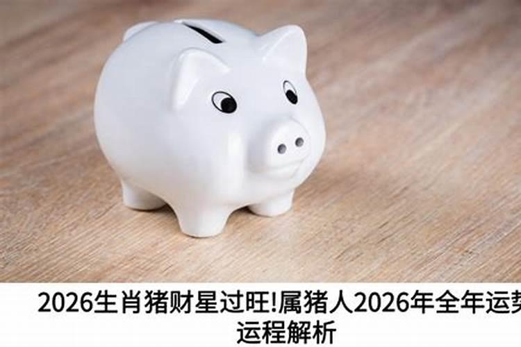猪男在2026年运程