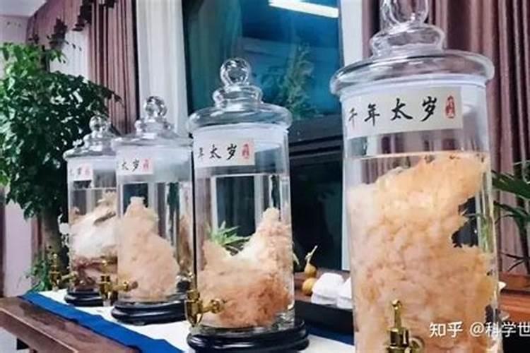 太岁是什么东西有什么作用？