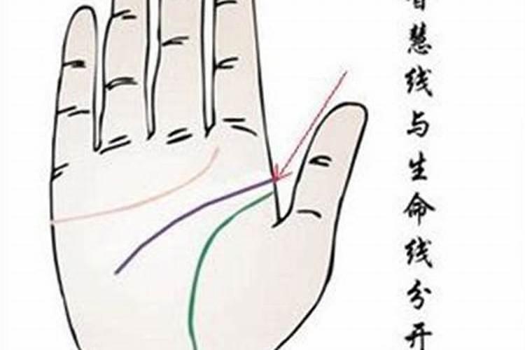 生命线和智慧线分开代表什么？