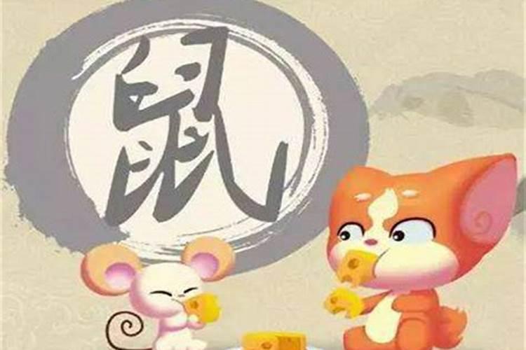 兔鼠属相婚配好吗？