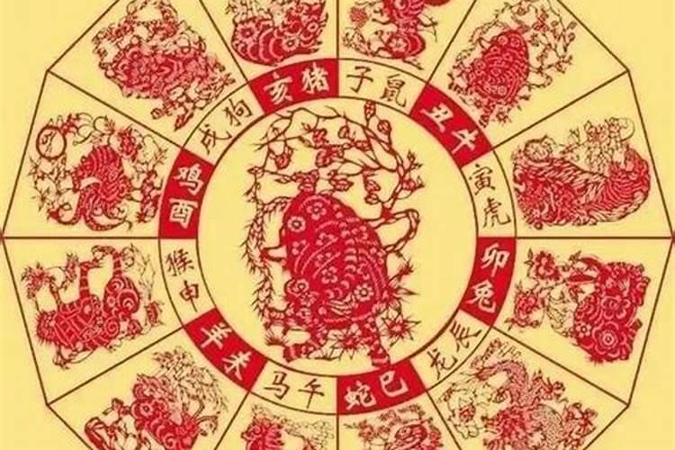 属兔人在2o2O年运势如何？