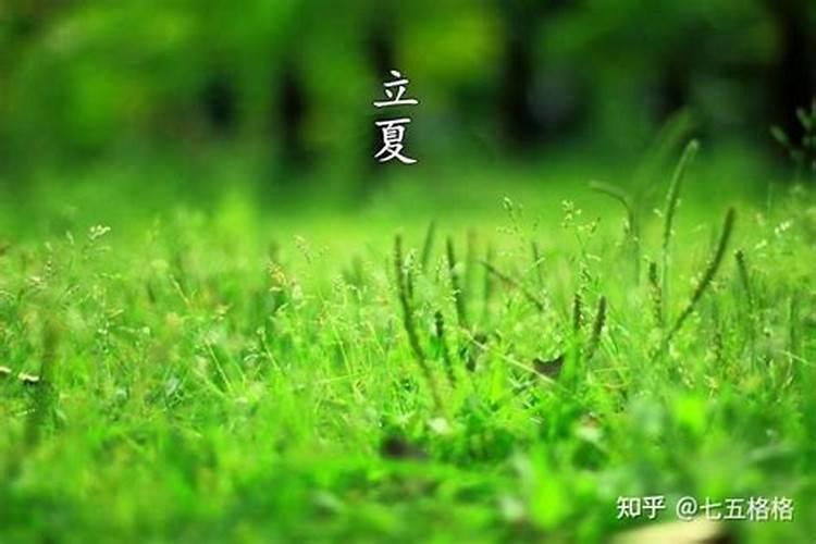 立夏的风俗有哪些好看？
