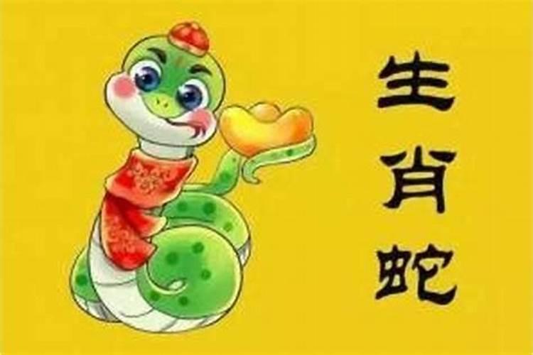 今年属蛇犯太岁吗男？