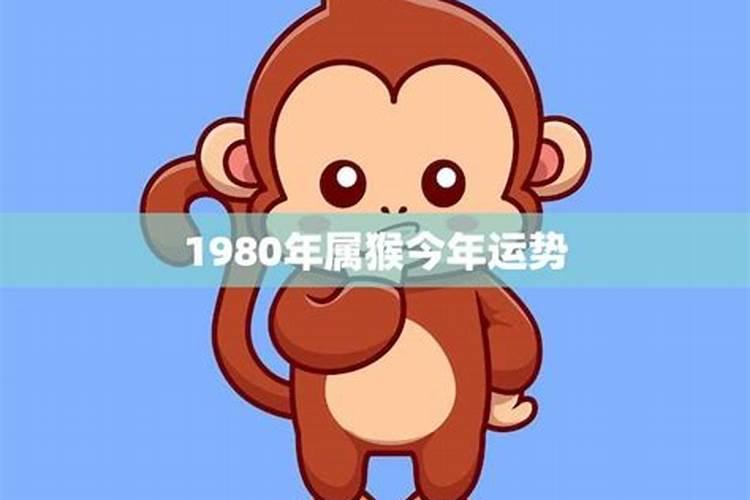 1980年的猴今年11月的运势