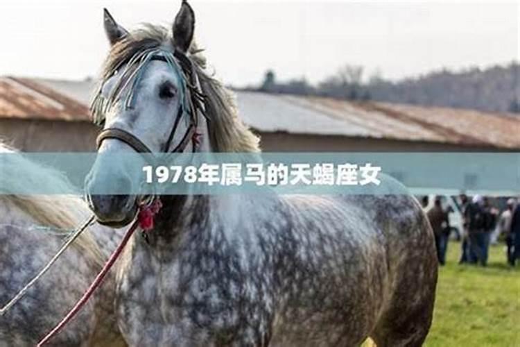 1978年出生的马女的婚姻运程