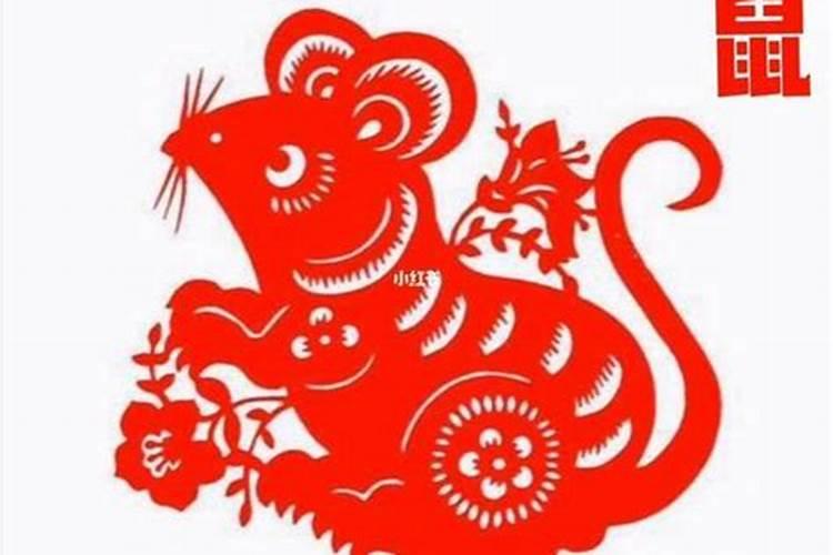 属鼠犯太岁啥意思？