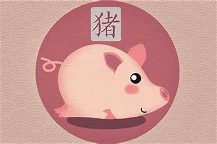 6月份出生属猪的运程