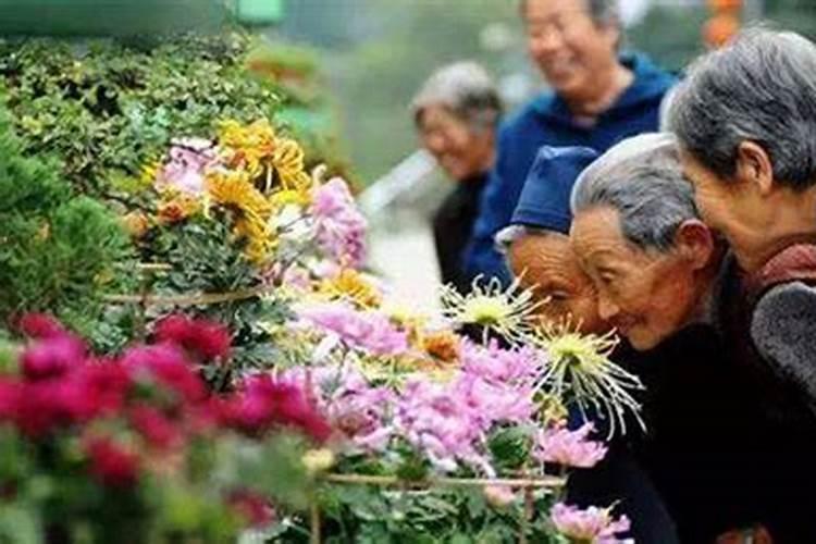 南方北方重阳节习俗的不同
