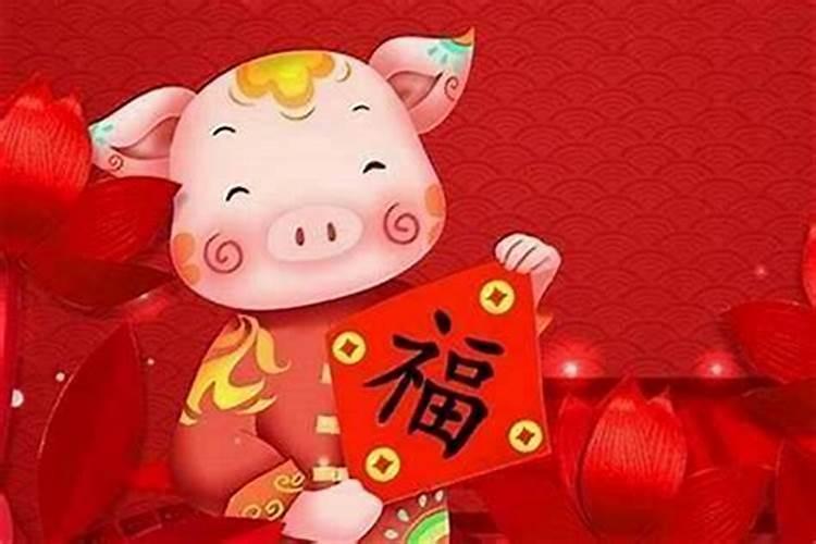 属猪人今年爱情运势