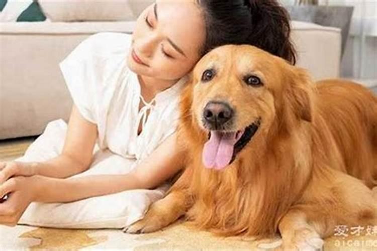 女人梦见狗是什么预兆？