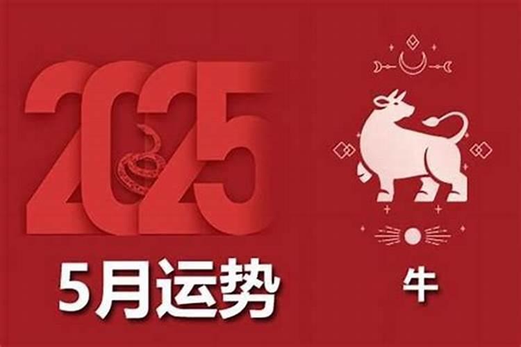 属牛9月出生的运程如何？