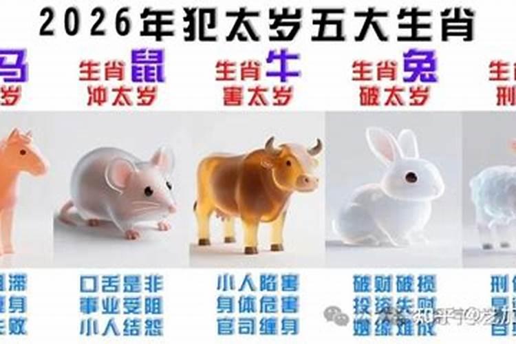 2026年合太岁的5个生肖