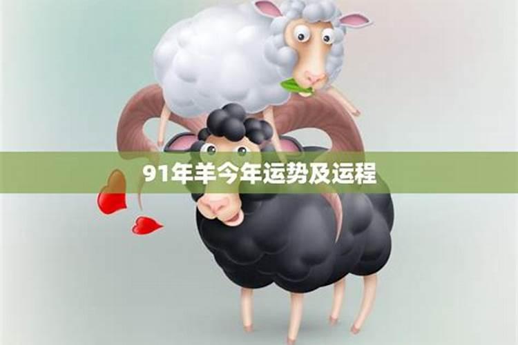 91年属羊女今年运势