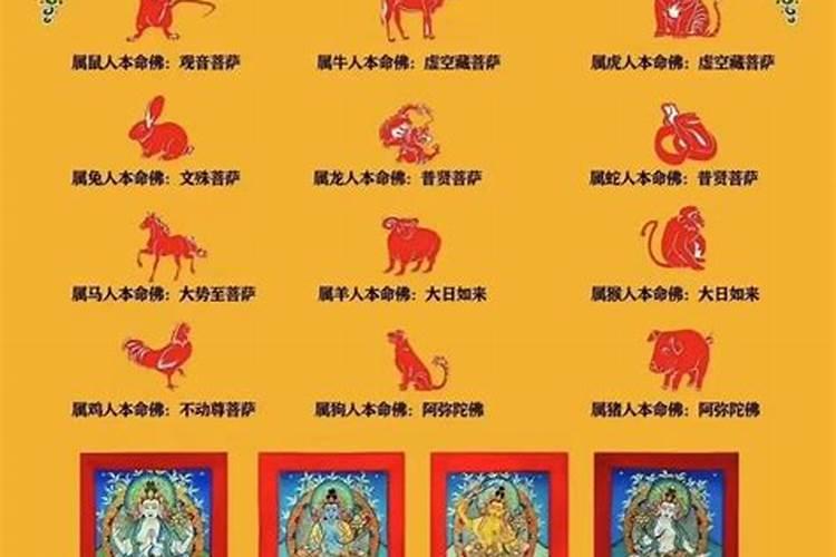 本命年过后会转财运吗？