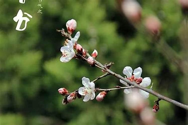 立春到立夏中间有几个节气？