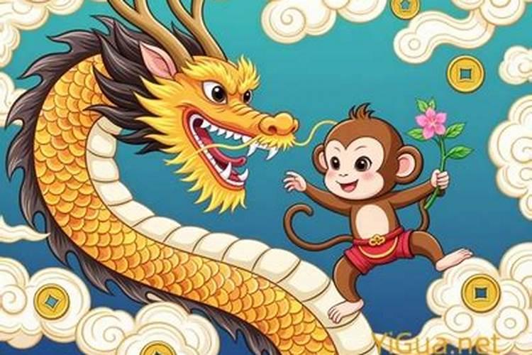 属龙和属猴的人合婚吗？