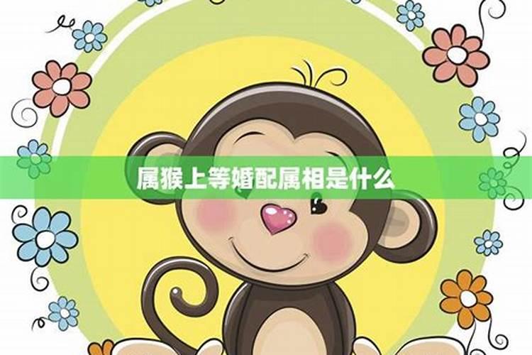 属相猴和什么婚配？