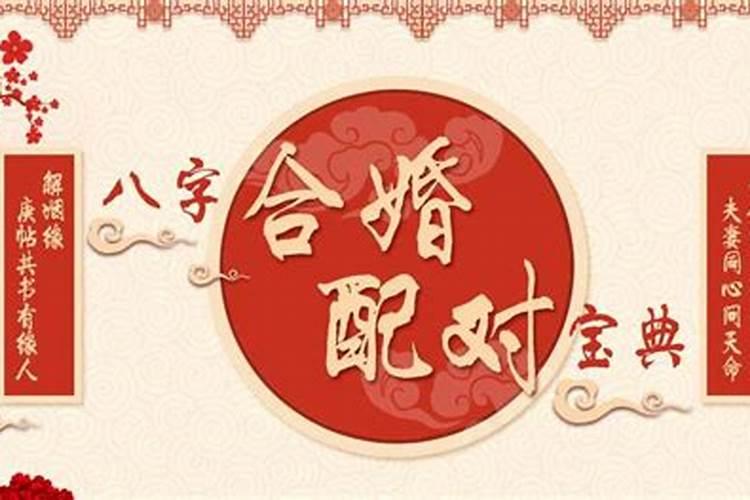 八字合了6个是上等婚吗？