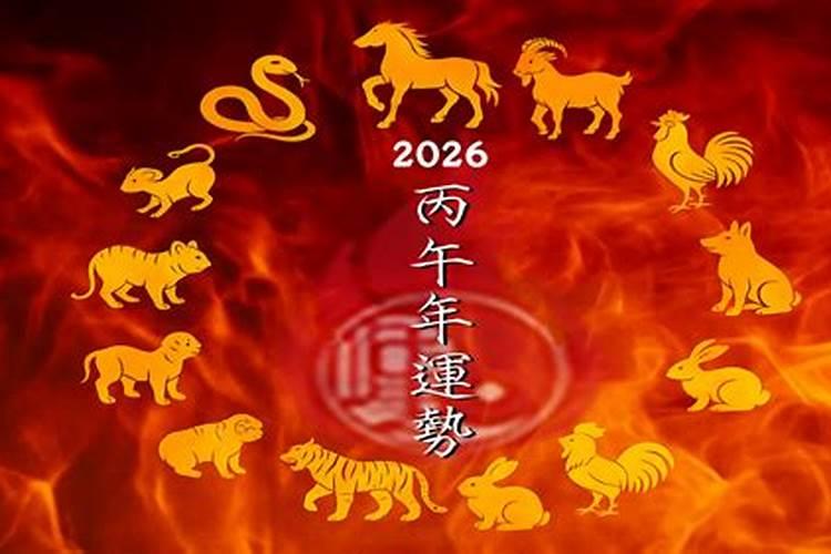 生肖虎2026年运势大全