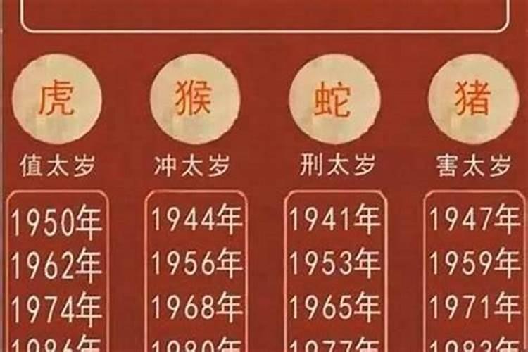 猪的今年犯太岁要注意什么？