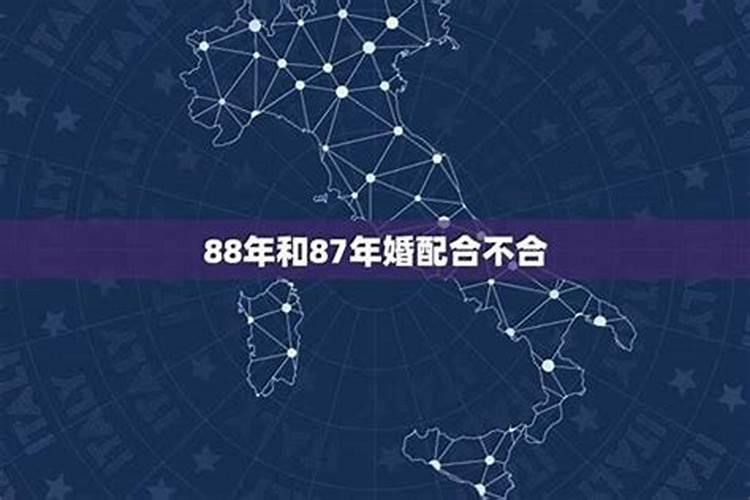 87女兔与88男龙合婚吗？