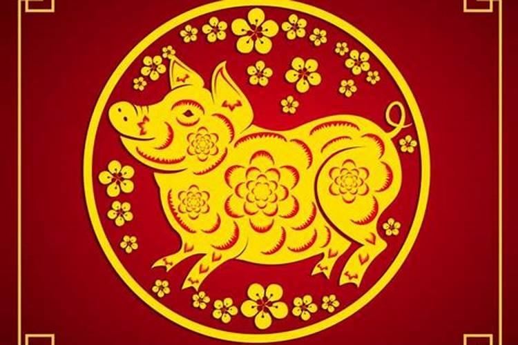 6月属猪和牛的运势如何？