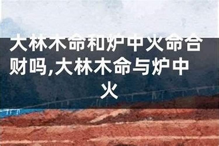 大林木和大林木合婚吗？