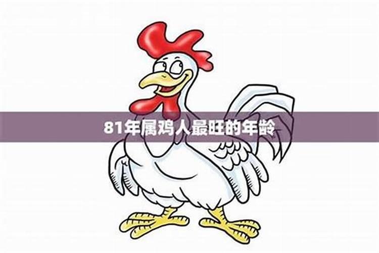 81年属鸡今年月份运程