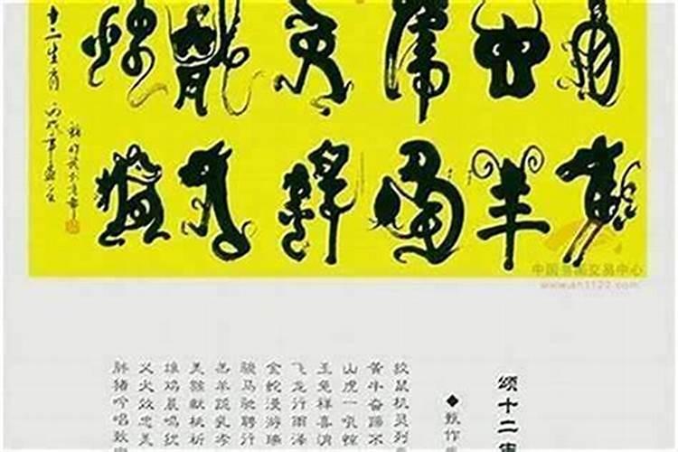 富人最多的生肖？