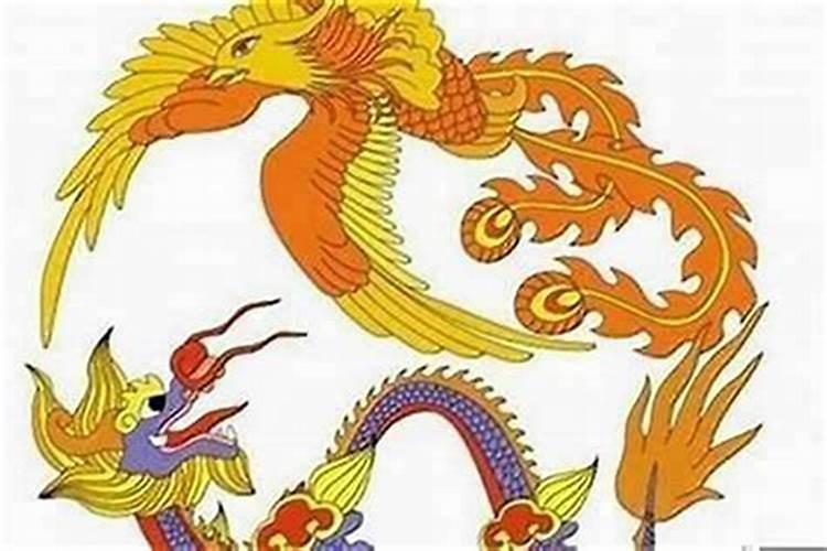 男龙和女主婚配属相好吗？
