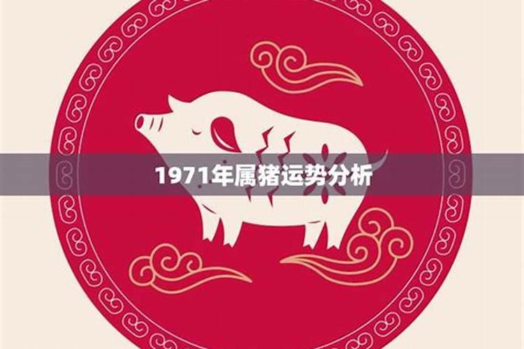 1971年男猪2026年运势如何？