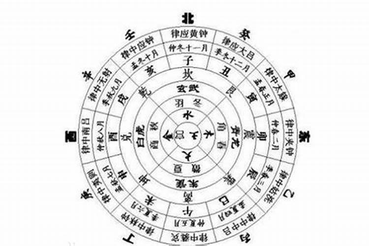怎么看五行八字？