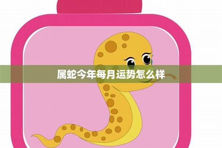 属蛇月份运势怎么样？