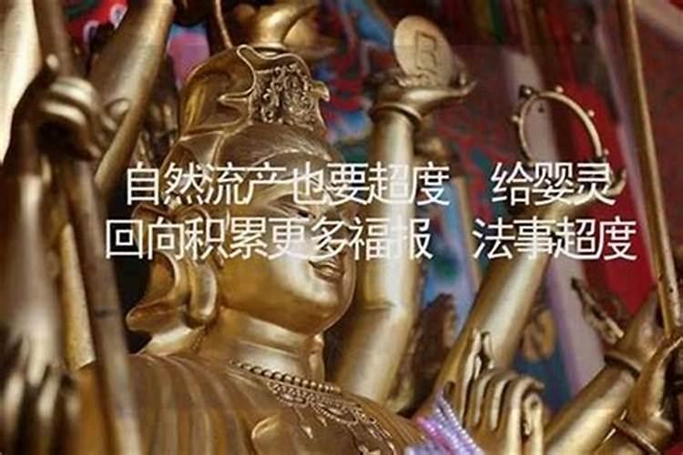 诵经超度婴灵如何回向？