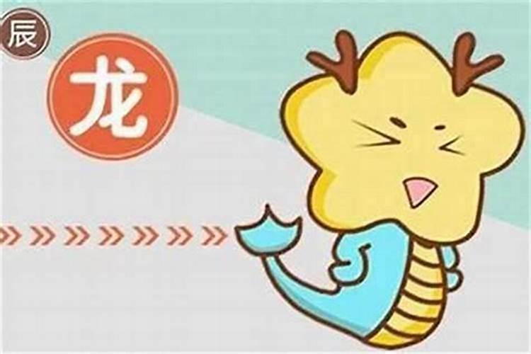 龙和狗的八字合吗？