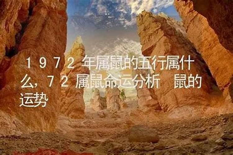 72年出生的在2026年运势如何？