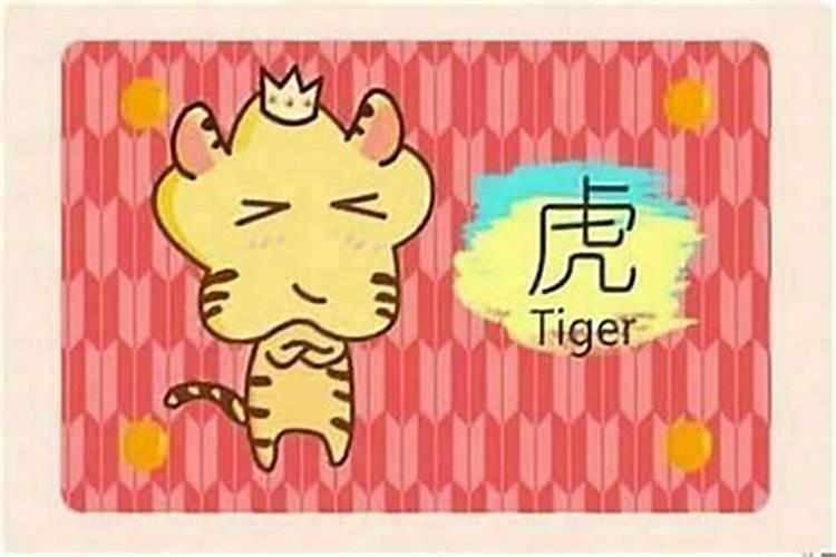 2026本命年虎女要注意什么？