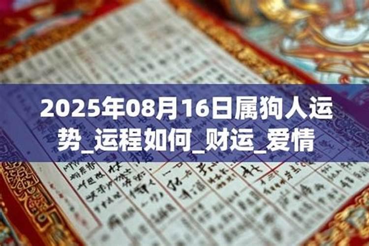 狗年人2026年运程如何？