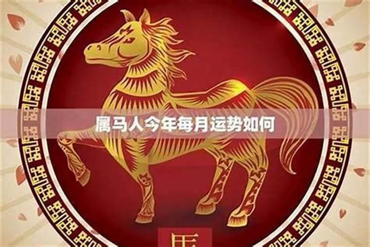 属马做生意今年运势