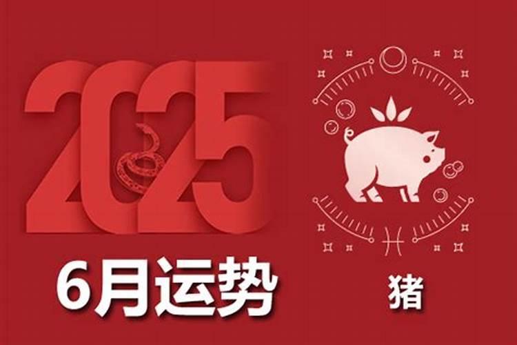 属猪6月运程如何？