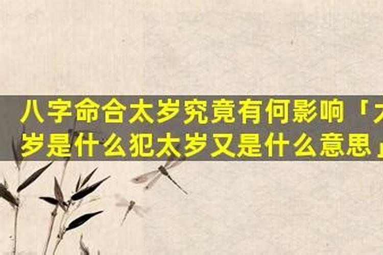 八字合太岁是什么意思？