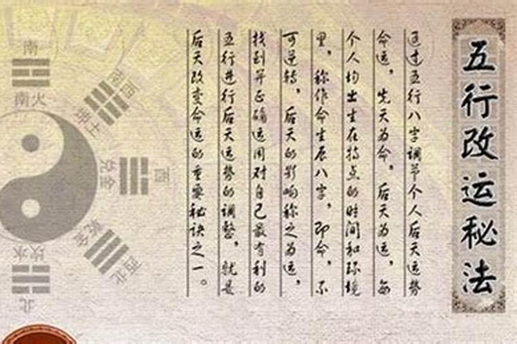 周素丽测八字多少钱？