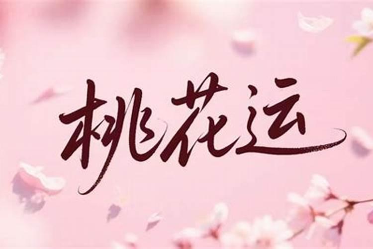 桃花运念什么咒？