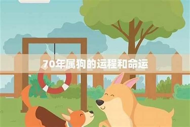 70出生属狗人今年运势