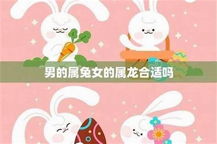 女鸡男兔合婚吗？