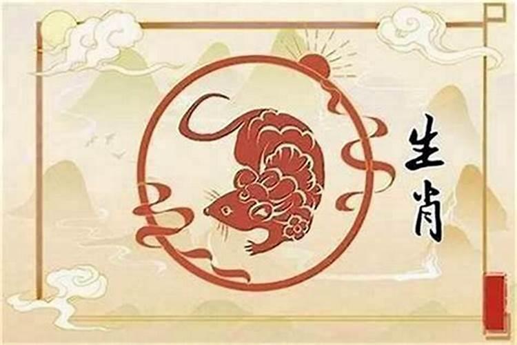 男主与女鼠八字合吗？
