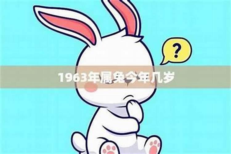 63年的兔今年的运程