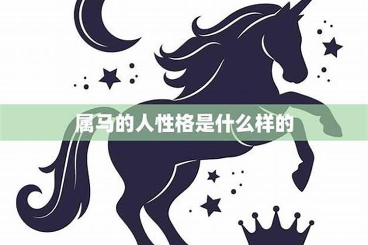 属马的人性格和优缺点